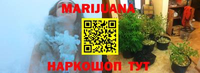 сатива Кулебаки