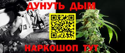 сатива Кулебаки