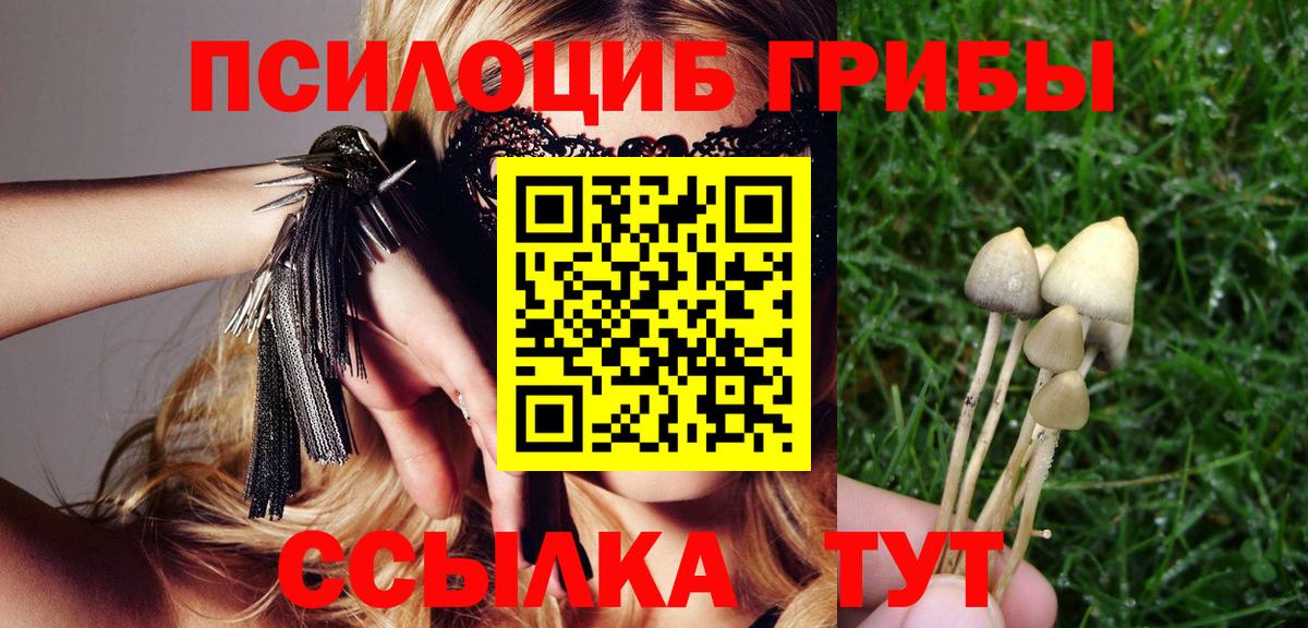 Псилоцибиновые грибы ЛСД Гусев