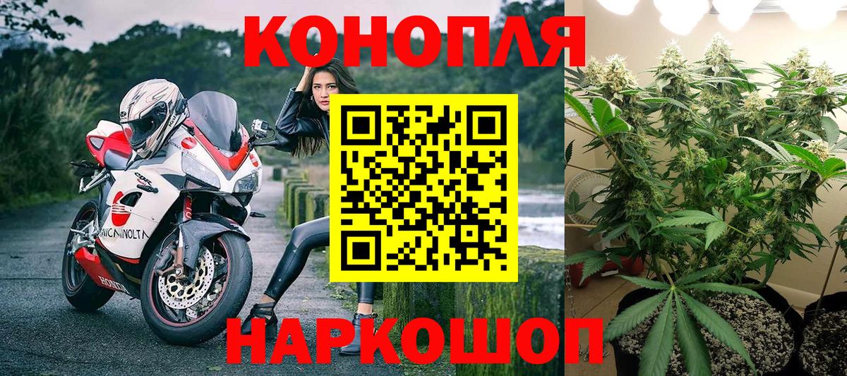Галлюциногенные грибы Гусев