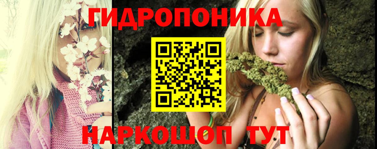 Бошки марихуана семена  Вход с VPN  Канабис индика  Гусев  Канабис гибрид 